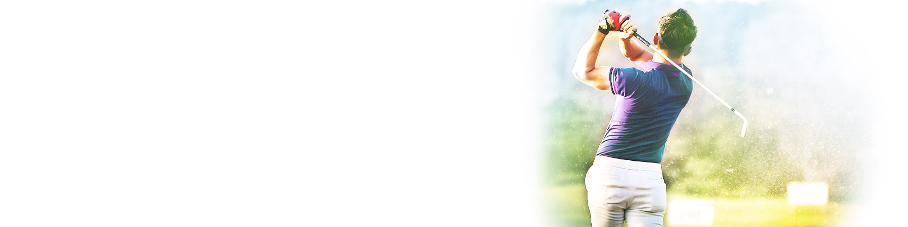 banner1